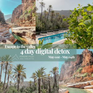 Escape the noise | 4 day digital detox in Paradise Valley